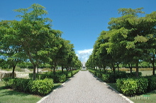 her17556_041