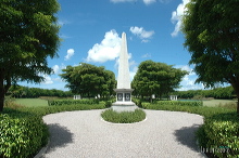 her17556_050
