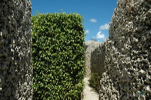 her17556_064