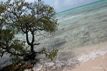 khl03450_010