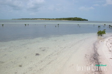 khl03450_022
