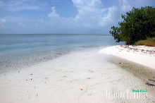 khl03450_030