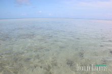 khl03450_035