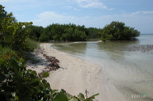 khl03450_08