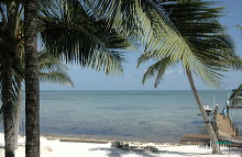khu13252_028